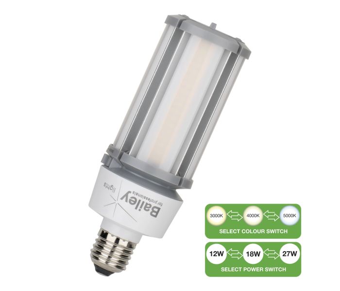 Bailey | LED lamp | Grote fitting E27 | Buislamp | 60mm | 27W