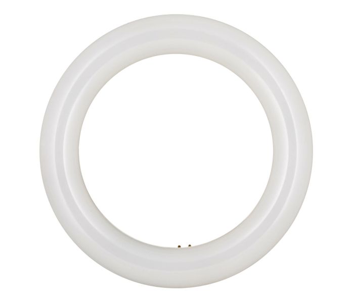 Bailey | LED lamp | G10q Fitting | TL-buis | 205mm | 11W