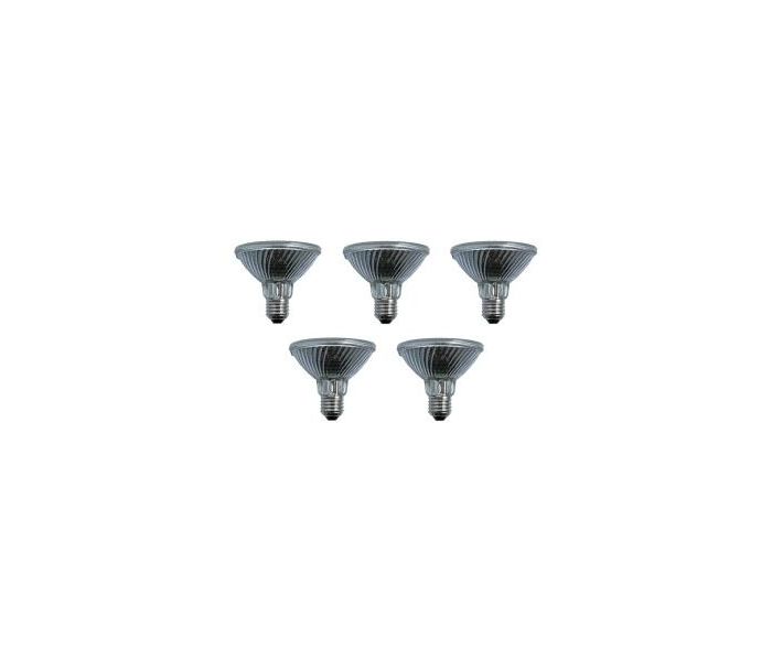 SPL | Grote fitting E27 | Reflectorlamp | Helder | 96mm | 100W