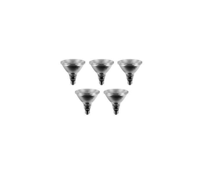 5x Gloeilamp | Spot | Grote fitting E27 | 75W | 122mm | Mat