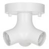 Bailey | Plafond-/wandarmatuur | LED uitwisselbaar | 60W Niet dimbaar