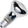SPL | Grote fitting E27 | R-klof/reflectorlamp | 63mm | 42W SPL | Grote fitting E27 | R-klof/reflectorlamp | 63mm | 42W