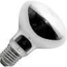 SPL | Grote fitting E27 | R-klof/reflectorlamp | 80mm | 53W