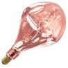 Calex | LED filament | Grote fitting E27 | Design lamp | 165mm | 6W Calex | LED filament | Grote fitting E27 | Design lamp | 165mm | 6W