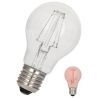 Bailey | LED Lamp | Grote fitting E27 | 4W (vervangt 40W) Rood