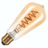 Bailey | LED Edisonlamp | Grote fitting E27 | 3.2W Dimbaar