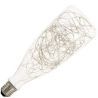 Bailey | LED lamp | Grote fitting E27 | Fles | Helder | 80mm | 1,5W