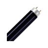MASTER T8 Actinic BL 18W - Blacklight | 60cm MASTER T8 Actinic BL 18W - Blacklight | 60cm