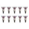 Halogeenlamp | Kleine fitting E14 | Spot | Helder | 50mm | 40W Halogeenlamp | Kleine fitting E14 | Spot | Helder | 50mm | 40W