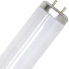 SPL | TL Buis | G13 Fitting | T12 | 20W | Blacklight UV insectenlamp | 59cm