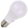 SPL | LED lamp | Grote fitting E27 | Standaardlamp | 60mm | 6W SPL | LED lamp | Grote fitting E27 | Standaardlamp | 60mm | 6W