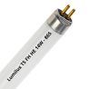 Lumilux T5 FH HE 14W - 865 Daglicht | 55cm Lumilux T5 FH HE 14W - 865 Daglicht | 55cm