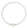 MASTER TL5C Circulair 40W - 830 Warm Wit | 30cm MASTER TL5C Circulair 40W - 830 Warm Wit | 30cm