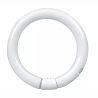 T9 Circline | 30W | G10Q | 830 Warm wit