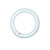 T9 Circline | 32W | G10Q | 830 Warm wit