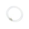 T9 Circline G10q 32W 3000K