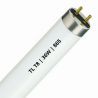 TL T8 | 36W | G13 fitting | 865 Daglicht | 120cm TL T8 | 36W | G13 fitting | 865 Daglicht | 120cm