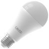 Calex | Smart | E27 fitting | Standaardlamp A65 | 14W