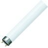 Philips | TL lamp | G13 fitting | TL-buis | 60cm | 18.2W