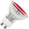 SPL | LED lamp | GU10 Fitting | Spot | Rood | 50mm | 5W
