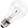 Gloeilamp | Grote fitting E27 | Standaardlamp | Helder | 55mm | 100W Gloeilamp | Grote fitting E27 | Standaardlamp | Helder | 55mm | 100W