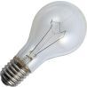 Gloeilamp | Grote fitting E27 | Standaardlamp | Helder | 100mm | 300W