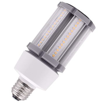 Bailey | LED lamp | Grote fitting E27 | Buislamp | 60mm | 18W