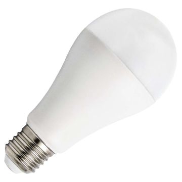 Bailey | LED lamp | Grote fitting E27 | Standaardlamp | 65mm | 20W