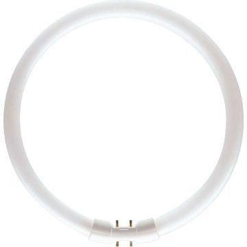 Philips | 2GX13 fitting | TL-buis | 18mm | 23.5W