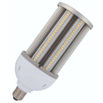 Bailey | LED lamp | Grote fitting E27 | Buislamp | 93mm | 36W