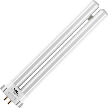 SPL | Compacte Fluorescentielamp | G10q4 Fitting | T6 | 15W | UV insectenlamp | 20cm