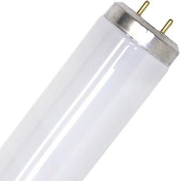 SPL | TL Buis | G13 Fitting | T12 | 20W | UV insectenlamp | 59cm