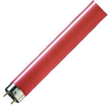 Philips | TL buis | G13 fitting | 28mm | 36W