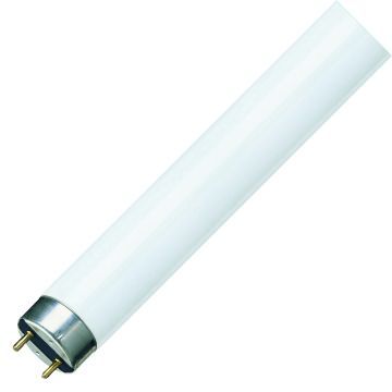 Philips | TL lamp | G13 fitting | TL-buis | 60cm | 18.2W