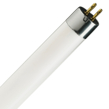 Lumilux T5 8W - 840 Koel Wit | 29cm