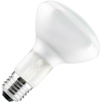 Gloeilamp | Grote fitting E27 | Reflectorlamp | Mat | 95mm | 100W