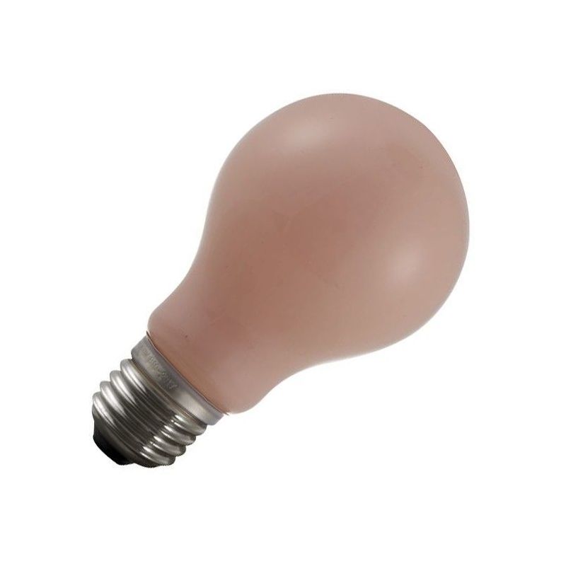 aanklager maatschappij actie SPL | LED Lamp Flame | Grote fitting E27 | 4.5W Dimbaar