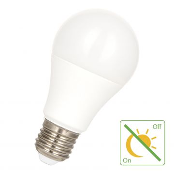 Bailey | LED Lamp | Grote fitting E27  | 9W 