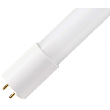 Bailey | LED lamp | G13 fitting | Buislamp | 29mm | 20W