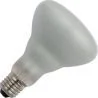 SPL | Grote fitting E27 | R-klof/reflectorlamp | 95mm | 105W