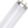SL | TL Buis | G13 Fitting | T12 | 20W | Blacklight UV insectenlamp | 59cm