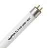 MASTER TL5 HO 54W - 830 Warm Wit | 115cm