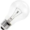 Gloeilamp | Grote fitting E27 | Standaardlamp | Helder | 55mm | 15W
