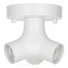 Bailey | Plafond-/wandarmatuur | LED uitwisselbaar | 60W Niet dimbaar