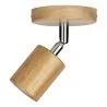 Bailey | Plafond-/wandarmatuur | LED uitwisselbaar | 60W Niet dimbaar