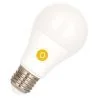 Bailey | LED lamp | Grote fitting E27 | Standaardlamp | 60mm | 5,5W