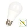 Bailey | LED lamp | Grote fitting E27 | Standaardlamp | 60mm | 9W