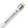 MASTER TL5 HO 24W - 830 Warm Wit | 55cm