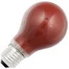 SPL | Grote fitting E27 | Standaardlamp | 60mm | 20W | 20 | | 2700K-3300K - Warm wit | 7lm | Ø 60mm | 2800K | 105mm