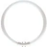 Philips | 2GX13 fitting | TL-buis | 18mm | 23.5W